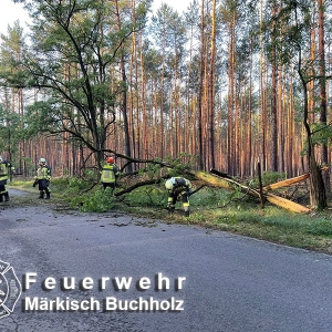 Einsatz 22/24