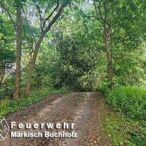 Einsatz 29/24