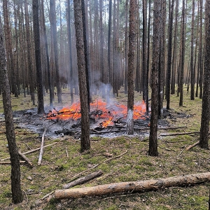 Einsatzbild