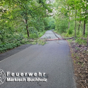 Einsatz 17/26
