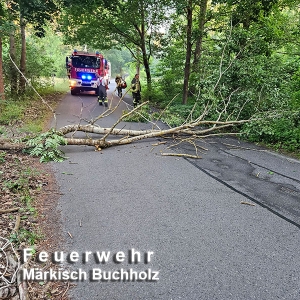 Einsatz 17/26
