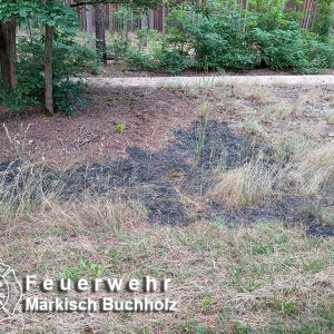 IMG-20260715-WA0019