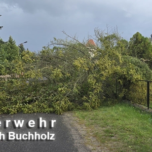 Einsatz 38/26